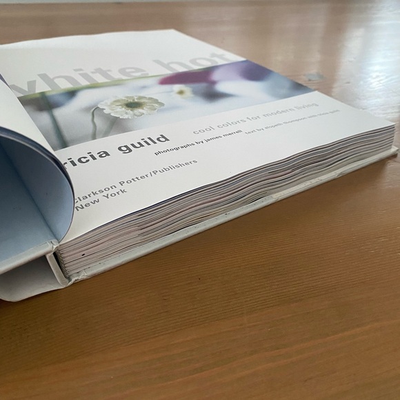 White Hot: cool colors for modern living by Elspeth Thompson & Tricia Guild - Picture 10 of 10